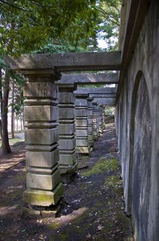 Mysterious narrow corridor of the columns in the park