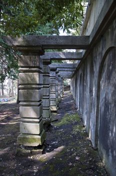 Mysterious narrow corridor of the columns in the park