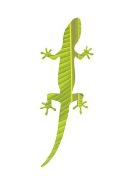 Closeup of a gecko on white with leaf  background