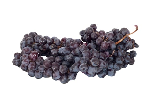 Black grapes cluster 
