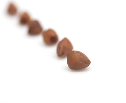 buckwheat on white background. close