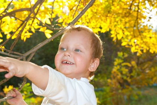 portrait of a boy in autumn