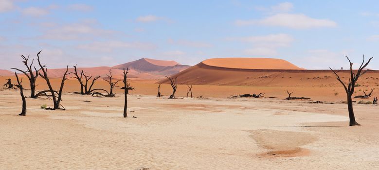 Panorama from three photos of the Namib near Sossusvlei,  Namibia