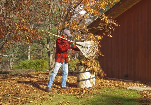 Senior man raking leaves in the fall season
