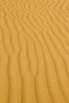 gold sand desert background