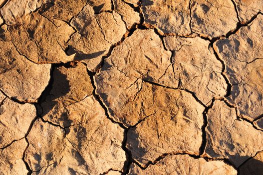 Patterns in the  mud at Sossusvlei, Namibia