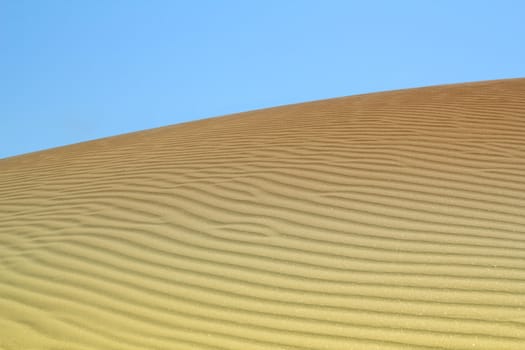 sand dune desert landscape