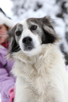 Little girl in the snow with dog