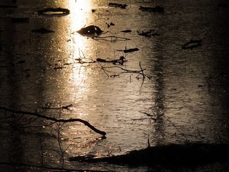 Evening sunlight over a lake that is frozen, detail