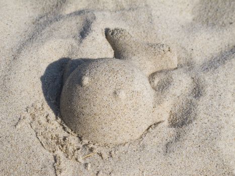 fish out of sand on a beach, sandbox, play