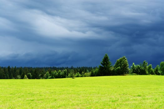 Landscape with some trees and many dark clouds