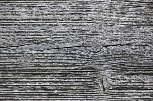 closeup of a weathered wood surface grey tree structure