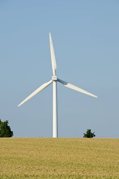 wind turbine seen from behind against blue sky and wheat field in the foreground
