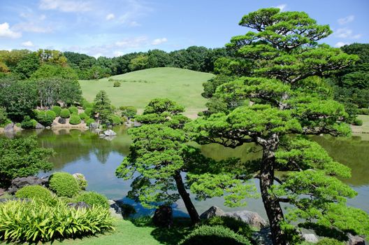 Japanese garden with lake and waterfall