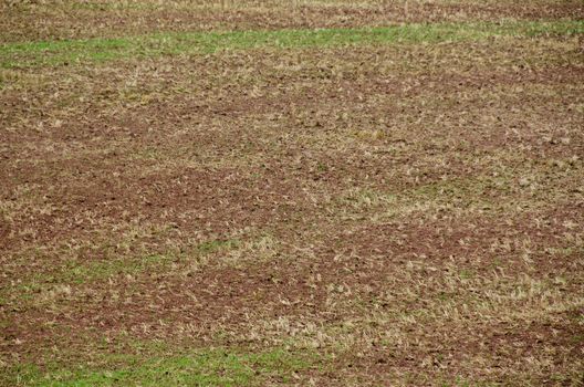 harvested and ploughed field background pattern with soil, straw and grass