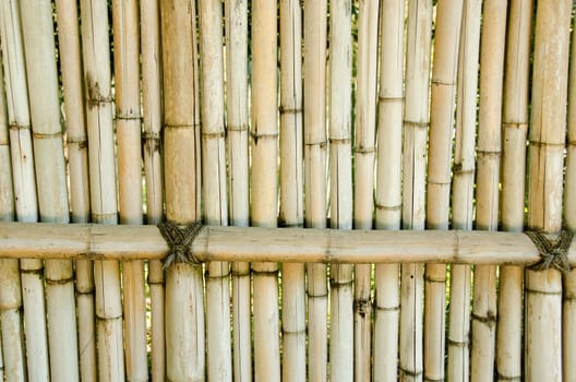 Fence made of bamboo sticks, background natural material