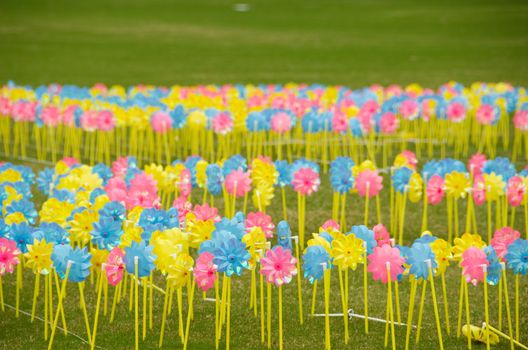 Yellow, blue and red pinwheels on a meadow 