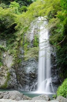 Water fall at the Mino Quasi National Park in Japan with green maple tree