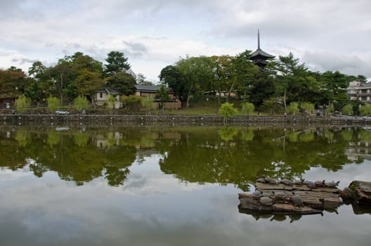Wide angle view of a lake in Nara, Japan with turtles in the front and pagoda of  Kofuku-ji temple in background