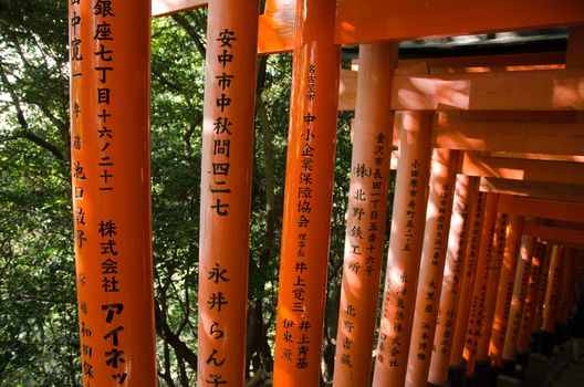 Torii Gates at the Fushimi Inari Taisha Shrine in Kyoto, Japan