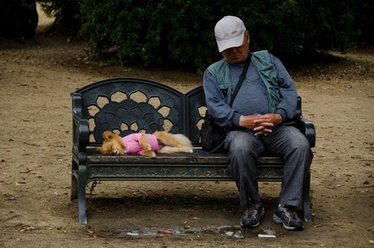Man and dog sleeping on a park bench