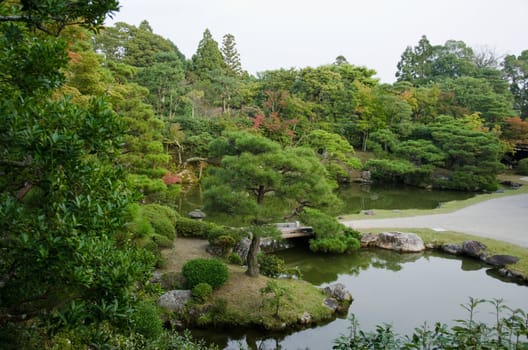 japanese garden inside the Ninna-ji temple in Kyoto, World heritage site