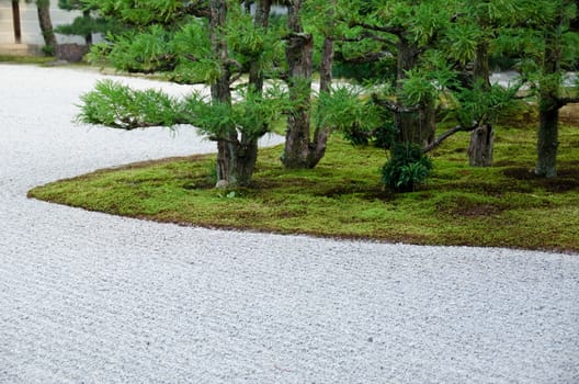 Japanese garden with gravel, moss, and pine trees
