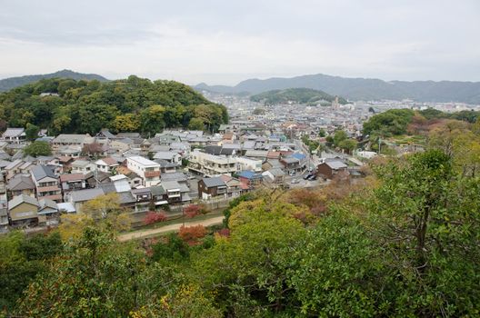 Himeji city in autumn with many colorful trees