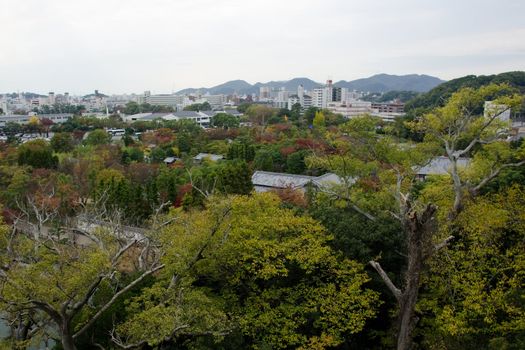Himeji city in autumn with many colorful trees