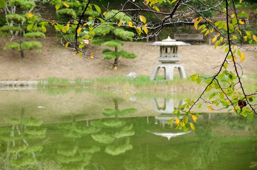 Lake in a japanese garden with cherry tree in foreground