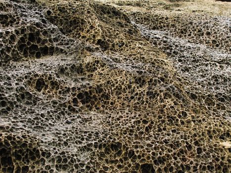 weathered sandstone background at the coast of australia, honey comb pattern