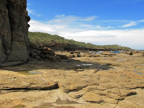 cliff and tidal platform in foreground, forest and sky in background, coast, australia