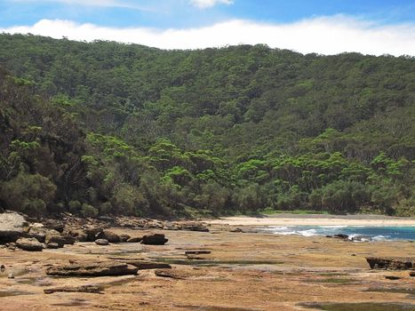 rocky tidal shore in australia with forest in the background
