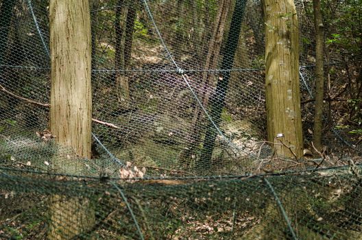 Landslide or landslip protection in a japanese forest