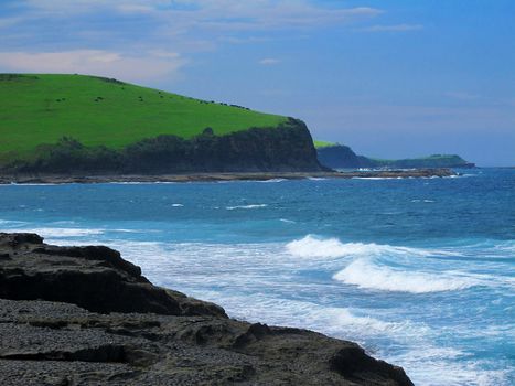 Green grass, cliff, cattle, blue ocean and blue sky landscape