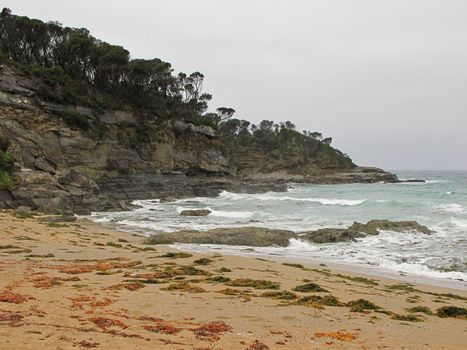 Wild beach in australia with cliffs, trees and ocean