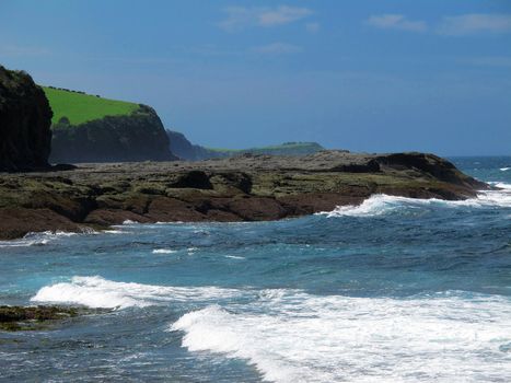 Green grass, cliff, cattle, blue ocean and blue sky landscape