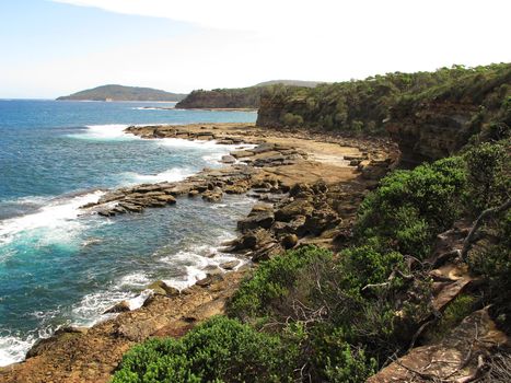 Wild shore in australia with cliffs, trees and ocean