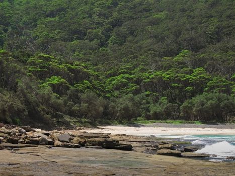 rocky tidal shore in australia with forest in the background