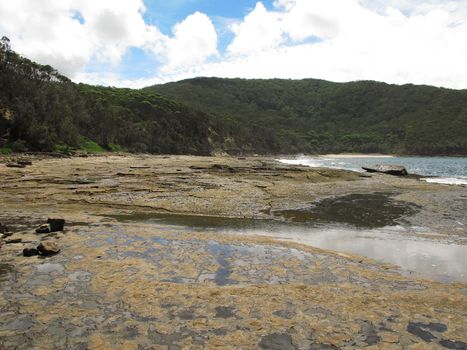 rocky tidal shore in australia with forest in the background