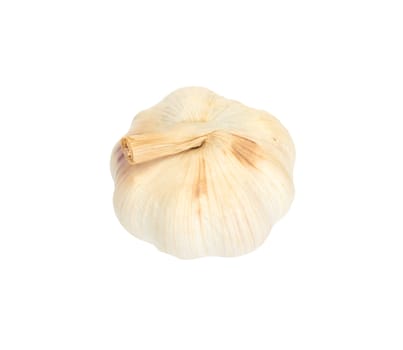 head of the garlic on white background 