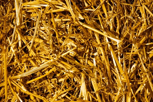 Background from the dry yellow straw which has remained after harvesting