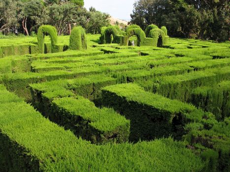 maze made of hedges in Barcelona, Spain