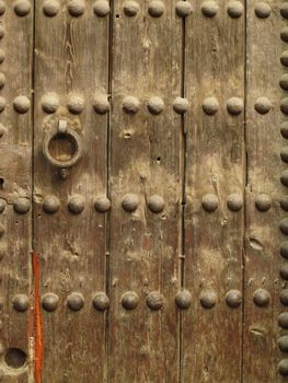 Surface of a wooden door with nail heads
