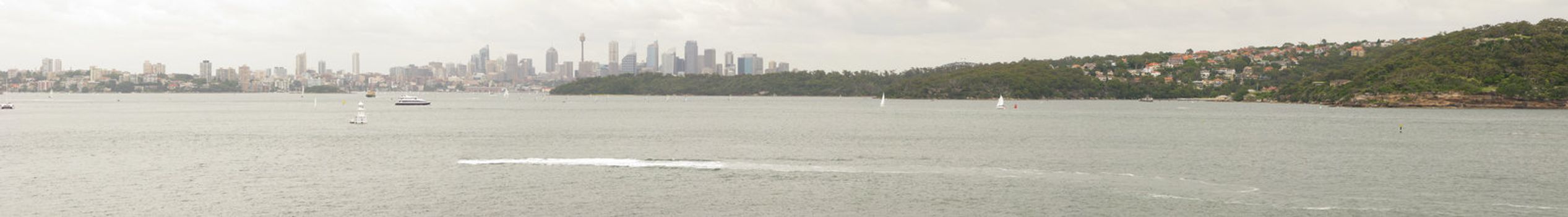 distant panorama view of the sydney skyline with skyscrapers, water and forest, australia