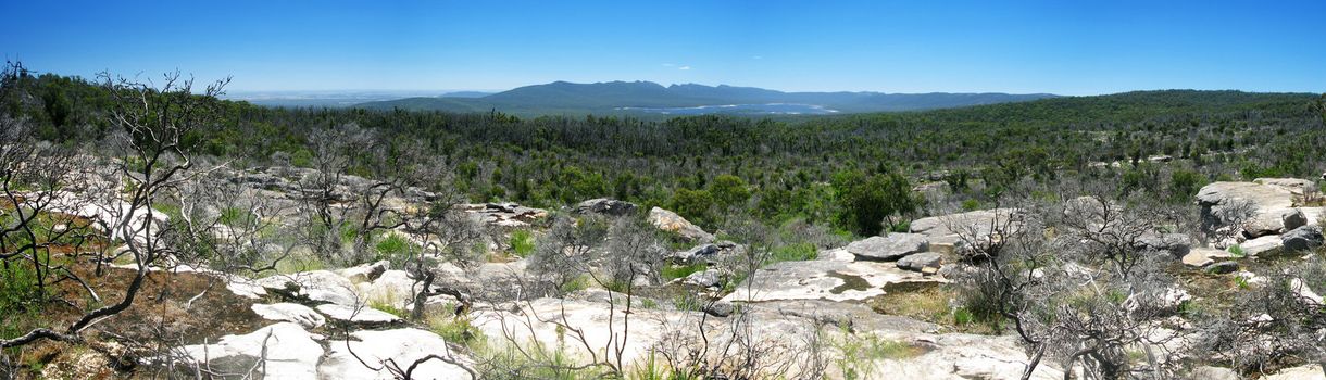 panorama of a blue mountain range in australia, national park