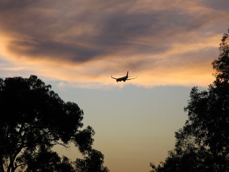 Landing airplane with cloudy sky and trees in foreground