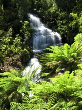 water fall in rain forest in australia with fern leaves in foreground