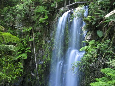 medium sized water fall in a rain forest in australia