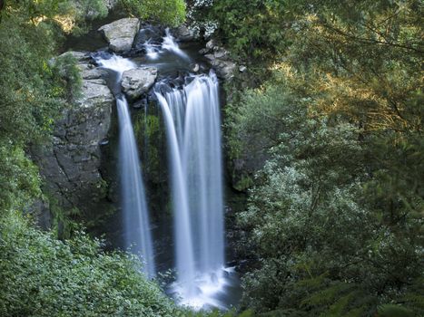 medium sized water fall in a rain forest in australia